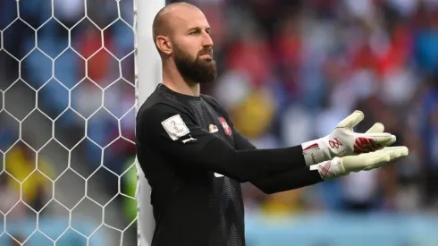 Serbia goalkeeper Vanja Milinkovic-Savic