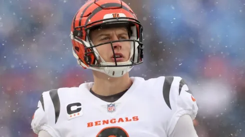 Burrow of the Bengals