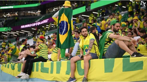 Brazil fans in the Stadium
