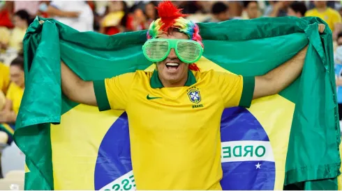 A fan of Brazil holding a flag
