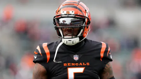 Tee Higgins of the Cincinnati Bengals
