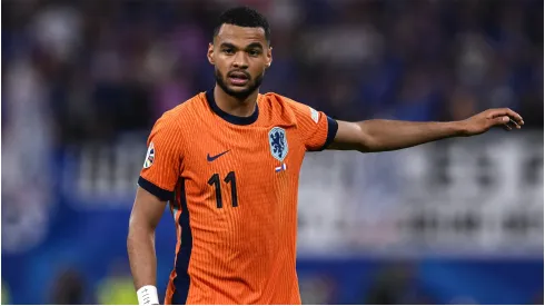 Cody Gakpo of Netherlands