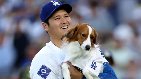Shohei Ohtani #17 of the Los Angeles Dodgers and his dog Decoy delivers a ceremonial first before the game against the Baltimore Orioles on Shohei Ohtani #17 bobblehead giveaway night at Dodger Stadium on August 28, 2024 in Los Angeles, California.