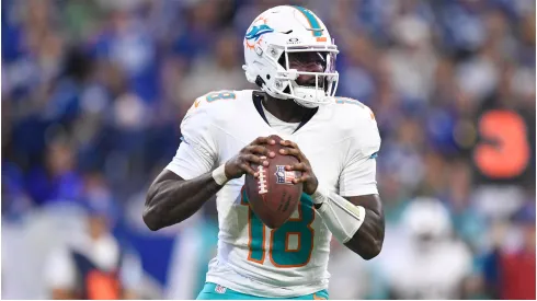 Miami Dolphins Quarterback Tyler Huntley
