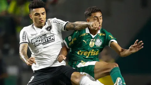 Igor Jesus (L) of Botafogo fights for the ball against Vitor Reis of Palmeiras during a match between Palmeiras and Botafogo as part of Brasileirao 2024 at Allianz Parque on November 26, 2024 in Sao Paulo, Brazil.