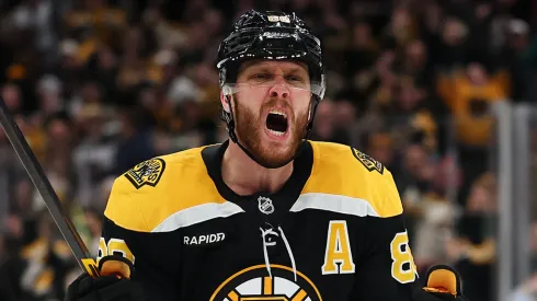 David Pastrnak of the Boston Bruins