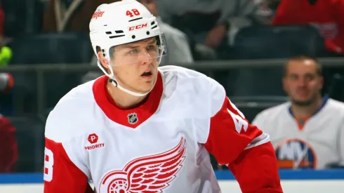 Jonatan Berggren #48 of the Detroit Red Wings skates against the New York Islanders at UBS Arena on November 25, 2024 in Elmont, New York.