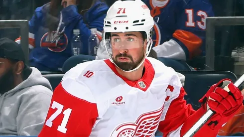 Dylan Larkin (#71) of the Red Wings looks on from the ice.
