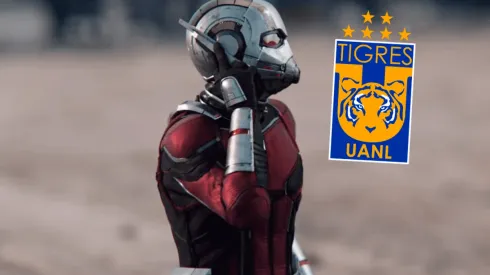 Un súper héroe de Marvel se declara como aficionado de Tigres