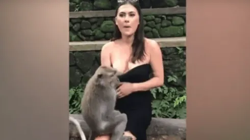 Video viral: un mono diabólico le bajó el vestido a una turista