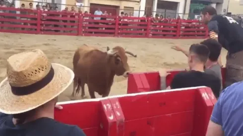 Foto del Toro y el hombre.
