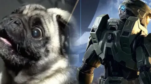 ¡No podemos más! En HALO Infinite contrataron un perro para hacer los efectos de sonido alienígena