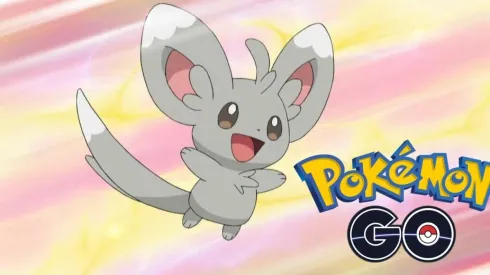 Minccino tendrá un evento especial en su llegada a Pokémon GO