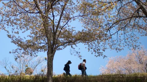 El viaje comienza en enero.