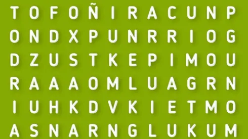 SOLO EL 3% PUDO: encuentra la palabra CARIÑO en 40 segundos