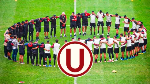 Universitario
