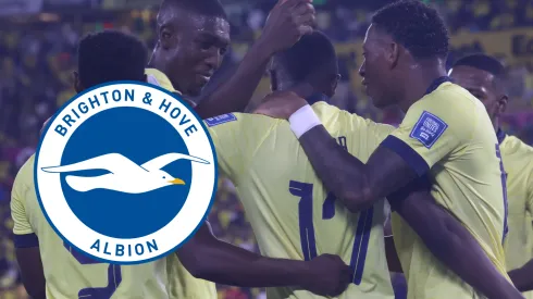 Selección de Ecuador podría tener otro jugador en el Brighton.
