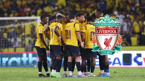 Ojeadores del Liverpool viajaron para ver a seleccionado de Ecuador.