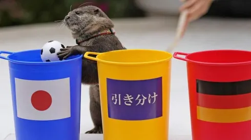 La nutria que es furor en Japón.
