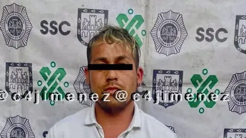 Últimas novedades en los felinos.