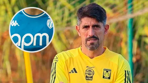 Tigres busca un zaguero de jerarquía para Paunovic.
