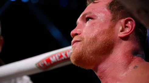 Canelo Álvarez es el centro de críticas tras su pelea ante William Scull
