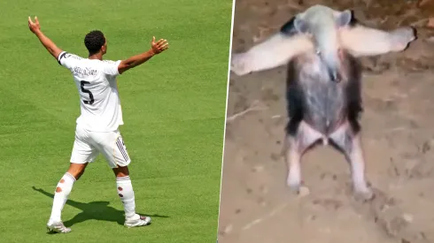 Jude Bellingham volvió a convertir para darle la victoria al Real Madrid.