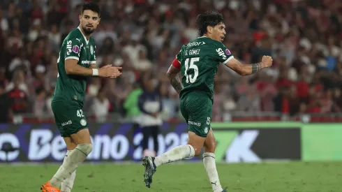 Palmeiras busca una nueva alegría en la copa.