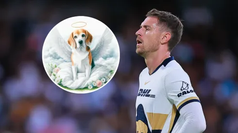 Aaron Ramsey se despidió de su perra, Halo