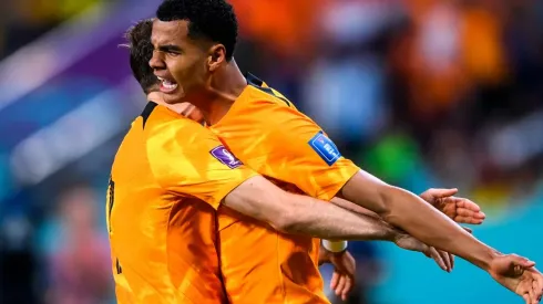 Gakpo anotó monstruoso gol en Qatar 2022