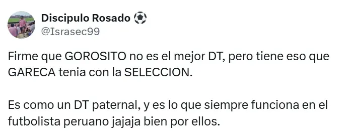 Hinchas piden a Gorosito a la Selección. (Foto: Captura de pantalla X)