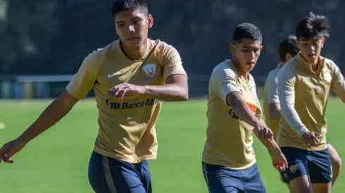 Pumas quiere apostar a la cantera
