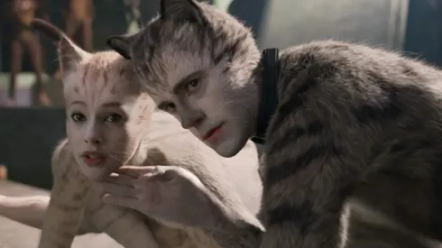 Nueva imagen de Cats
