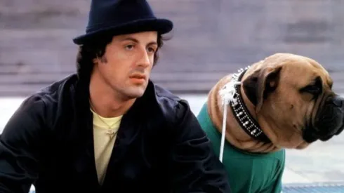 Sylvester Stallone: la cruda y emotiva historia de su perro 'Butkus'