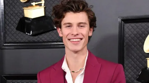 Shawn Mendes anunció su documental para Netflix: cuándo se estrena
