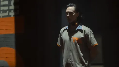 Loki detenido por la TVA.
