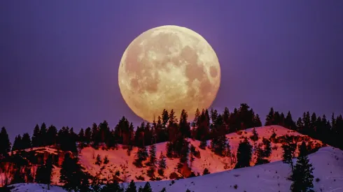 The first full moon of the year is called "wolf moon." 

