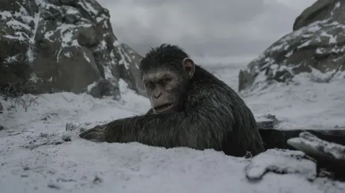 Andy Serkis in War for the Planet of the Apes.
