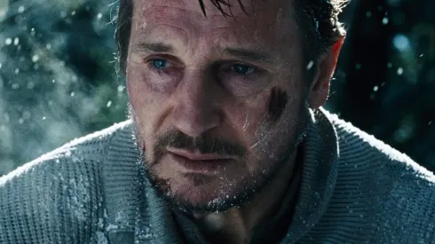 Liam Neeson in "The Grey". 
