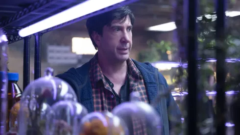 David Schwimmer in Goosebumps: The Vanishing.
