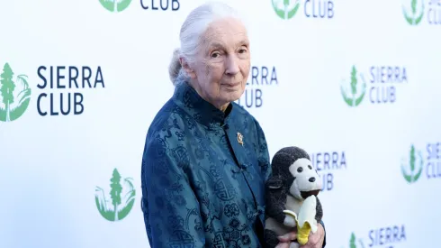 Jane Goodall attends Sierra Club's 2025 Trail Blazers Ball.

