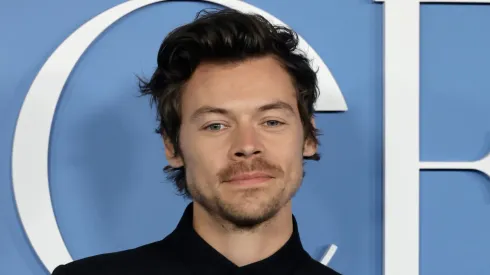 El músico Harry Styles
