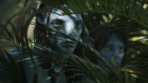 Los elementos utilizados por James Cameron para crear Avatar.
