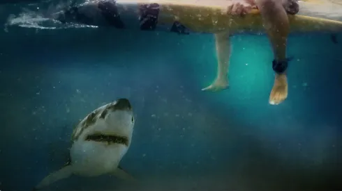 'After the bite' de HBO Max
