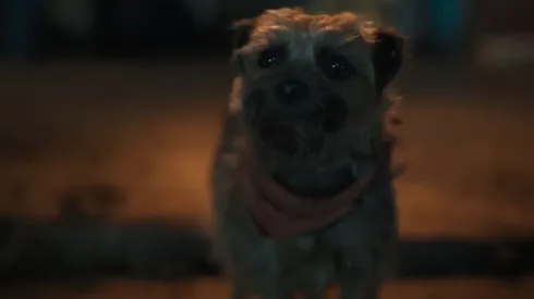 Reggie tiene en inglés la voz de Will Ferrel, mientras que en español su voz la hace Ricardo O’Farrill.
