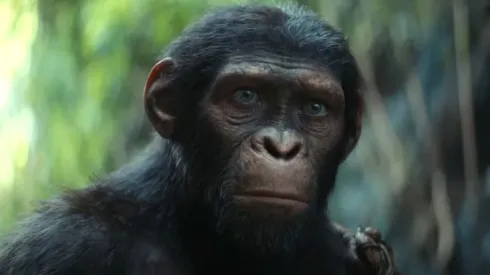 El nuevo protagonista de Kingdom of the Planet of the Apes.
