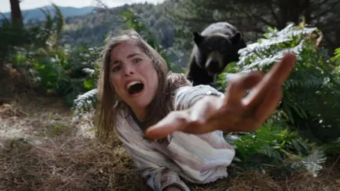 'Oso intoxicado' se inspiró en un caso real
