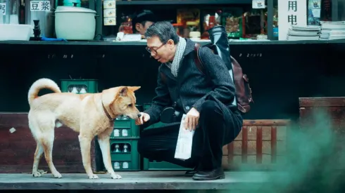 "Hachiko 2: Siempre a tu lado" llega en este 2024 a los cines de todo el mundo.
