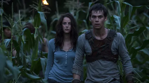 THE MAZE RUNNER
Nighttime in the maze presents unexpected challenges to Teresa (Kaya Scodelario) and Thomas (Dylan O’Brien).
TM and © 2014 Twentieth Century Fox Film Corporation.  All Rights Reserved.  Not for sale or duplication..
