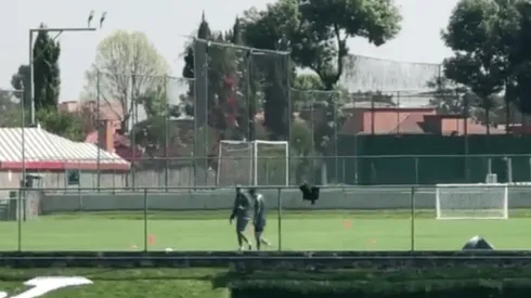 Hernández no pudo terminar la práctica de esta mañana.
